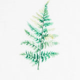 Tecido Cortina Estampado Ervas - Ribes y Casals