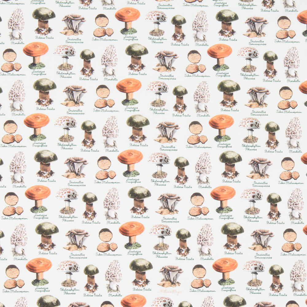 Popeline Cogumelos Verde - Ribes y Casals