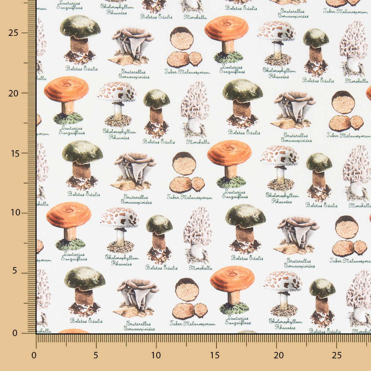 Popeline Cogumelos Verde - Ribes y Casals