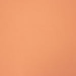Poliéster Liso Salmão - Ribes y Casals