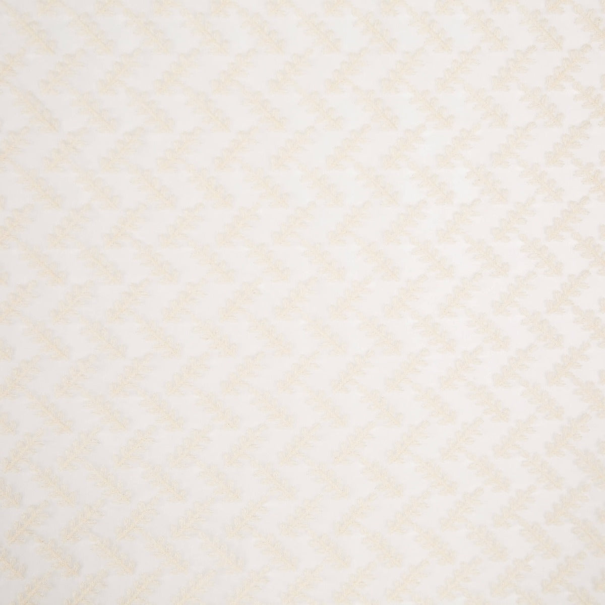 Gaze Poliéster Bordado Cru Galhos - Ribes y Casals