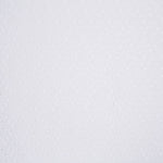 Bordado Suíço Galhos - Ribes y Casals