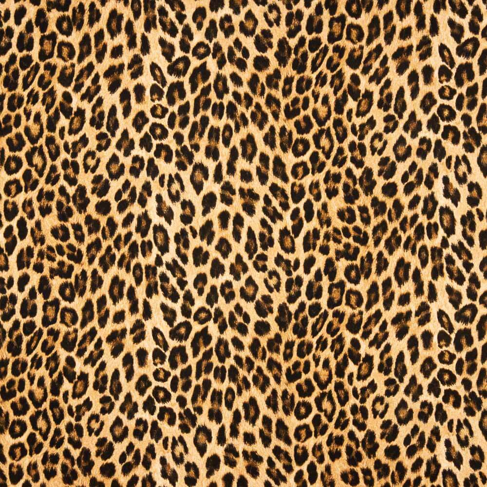 Cetim Mate Leopardo - Ribes y Casals