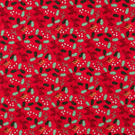 Açúcar de Cana de Algodão Vermelho Natal - Ribes y Casals