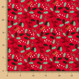 Açúcar de Cana de Algodão Vermelho Natal - Ribes y Casals