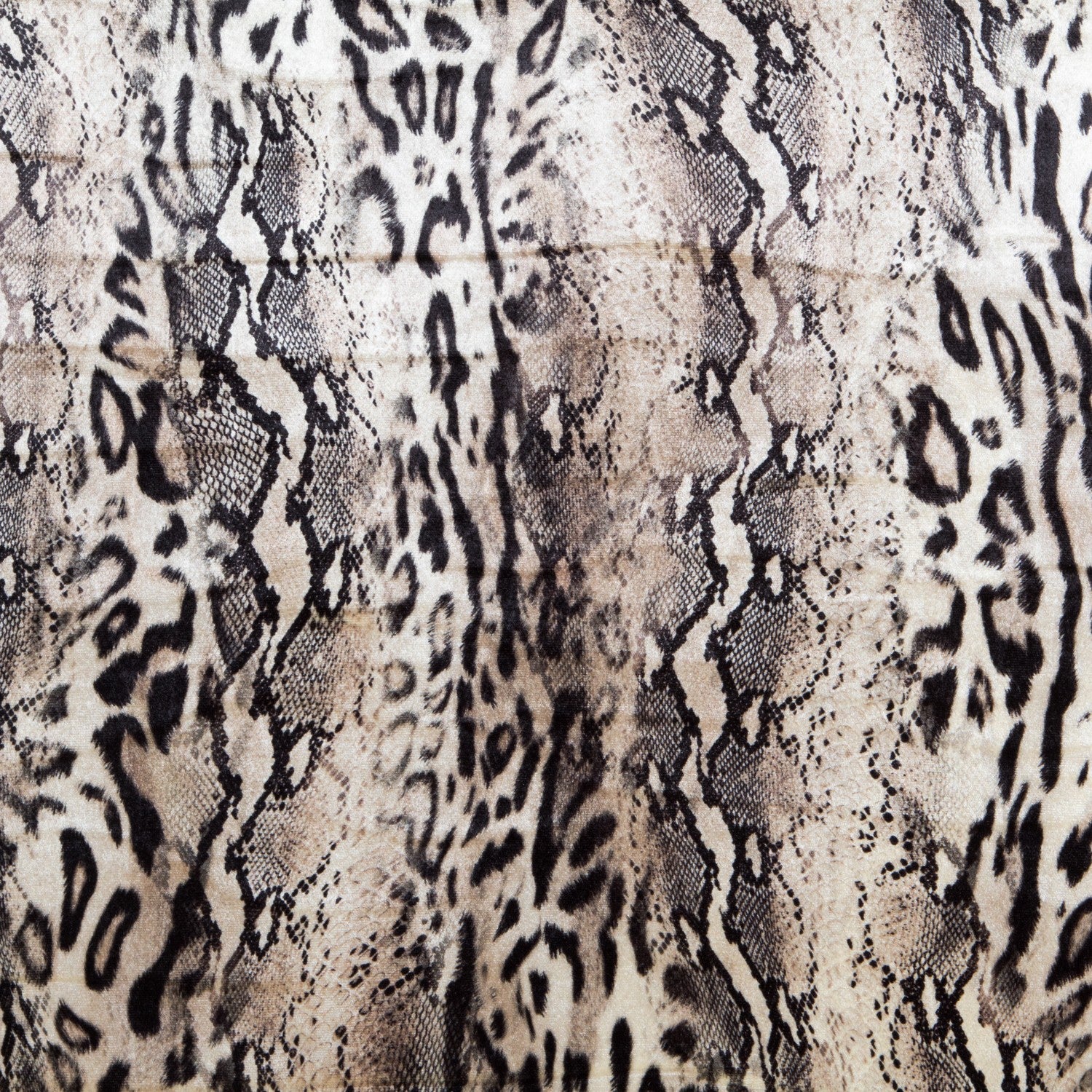 Veludo Elástico Serpente - Ribes y Casals