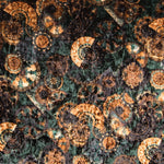 Veludo Elástico Medalha Verde - Ribes y Casals