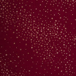 Veludo Spandex Brilho Garnet - Ribes y Casals