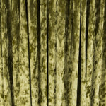 Veludo Moda Verde Azeite - Ribes y Casals