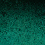 Veludo Moda Verde Garrafa - Ribes y Casals