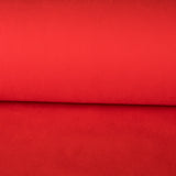 T N T - Ribes y Casals