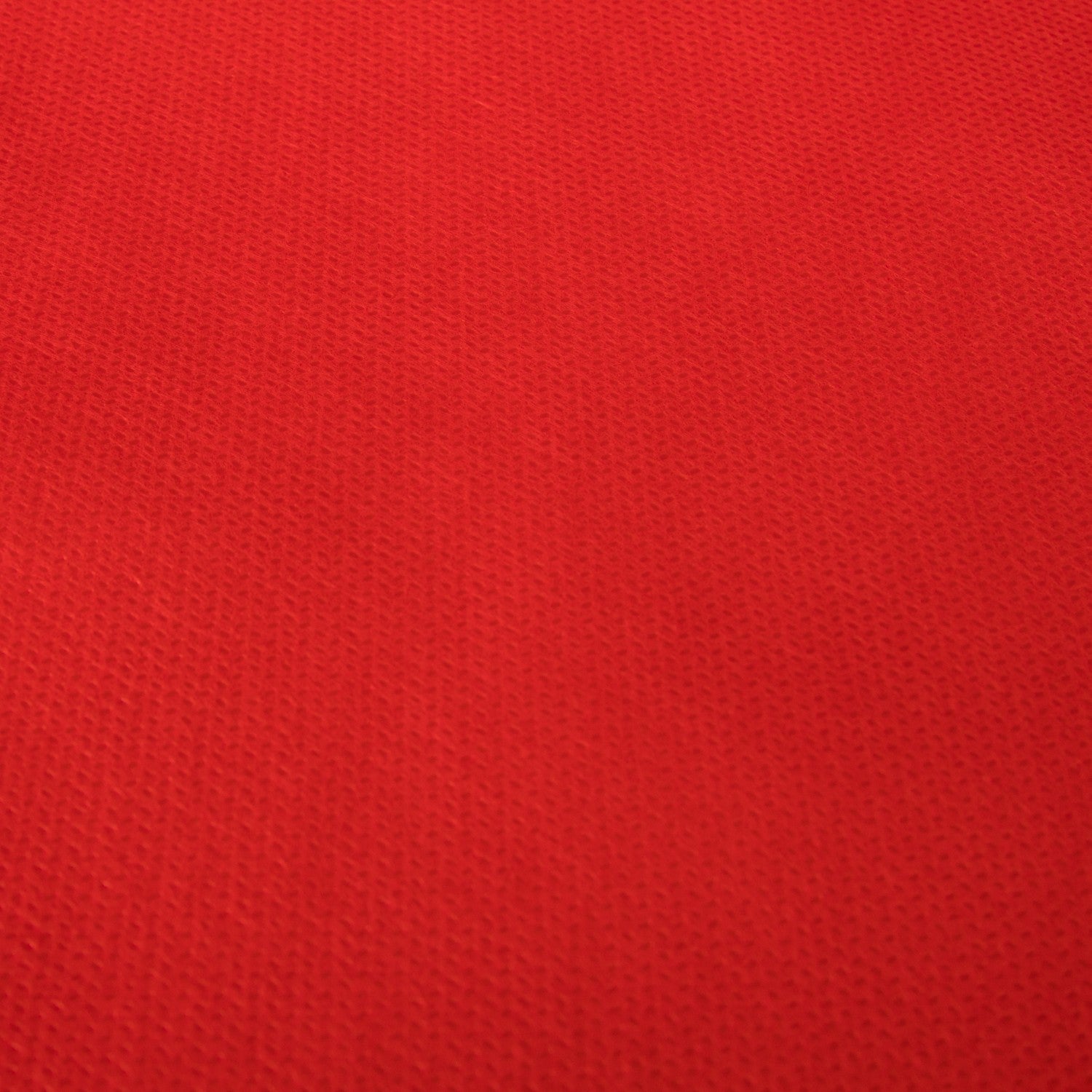 T N T - Ribes y Casals