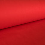 T N T - Ribes y Casals