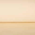 T N T - Ribes y Casals