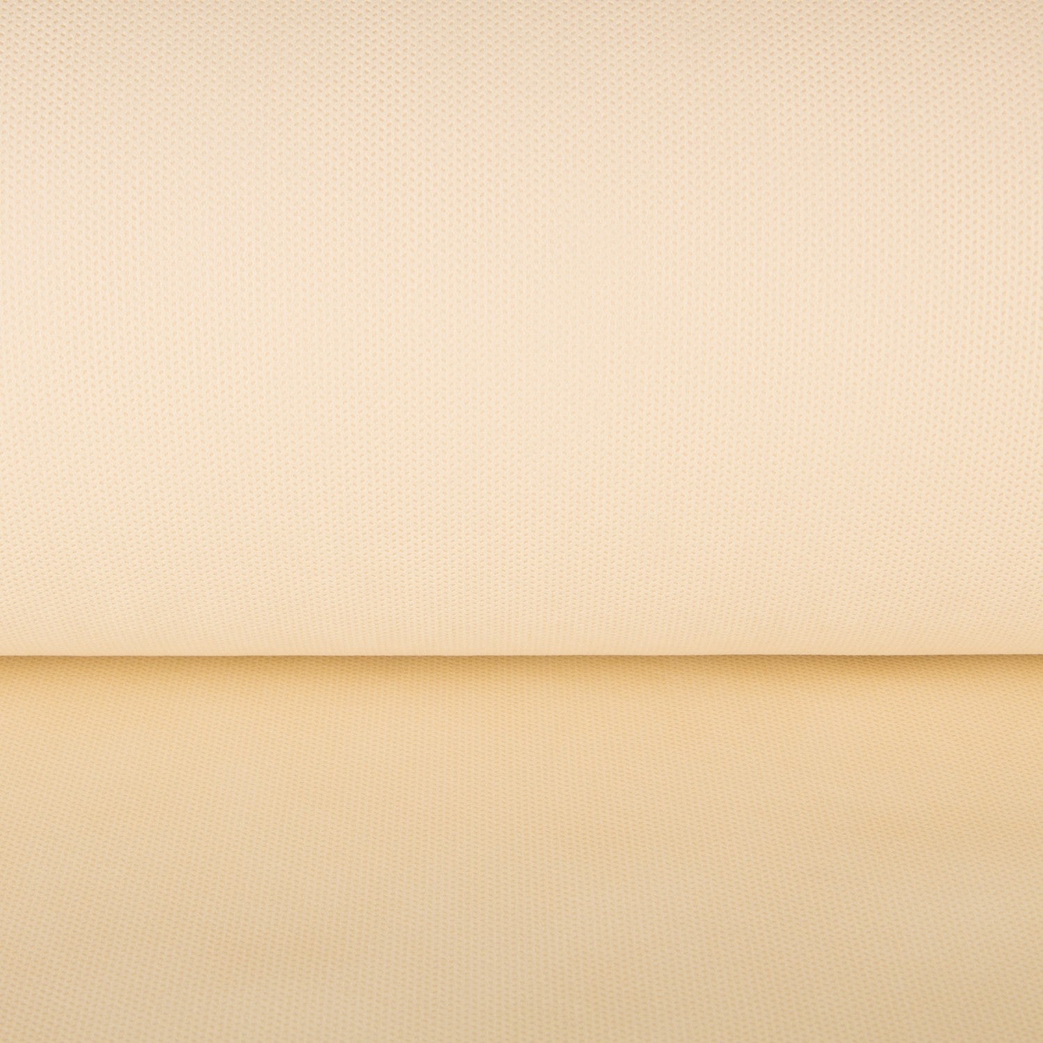 T N T - Ribes y Casals