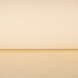 T N T - Ribes y Casals