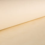 T N T - Ribes y Casals