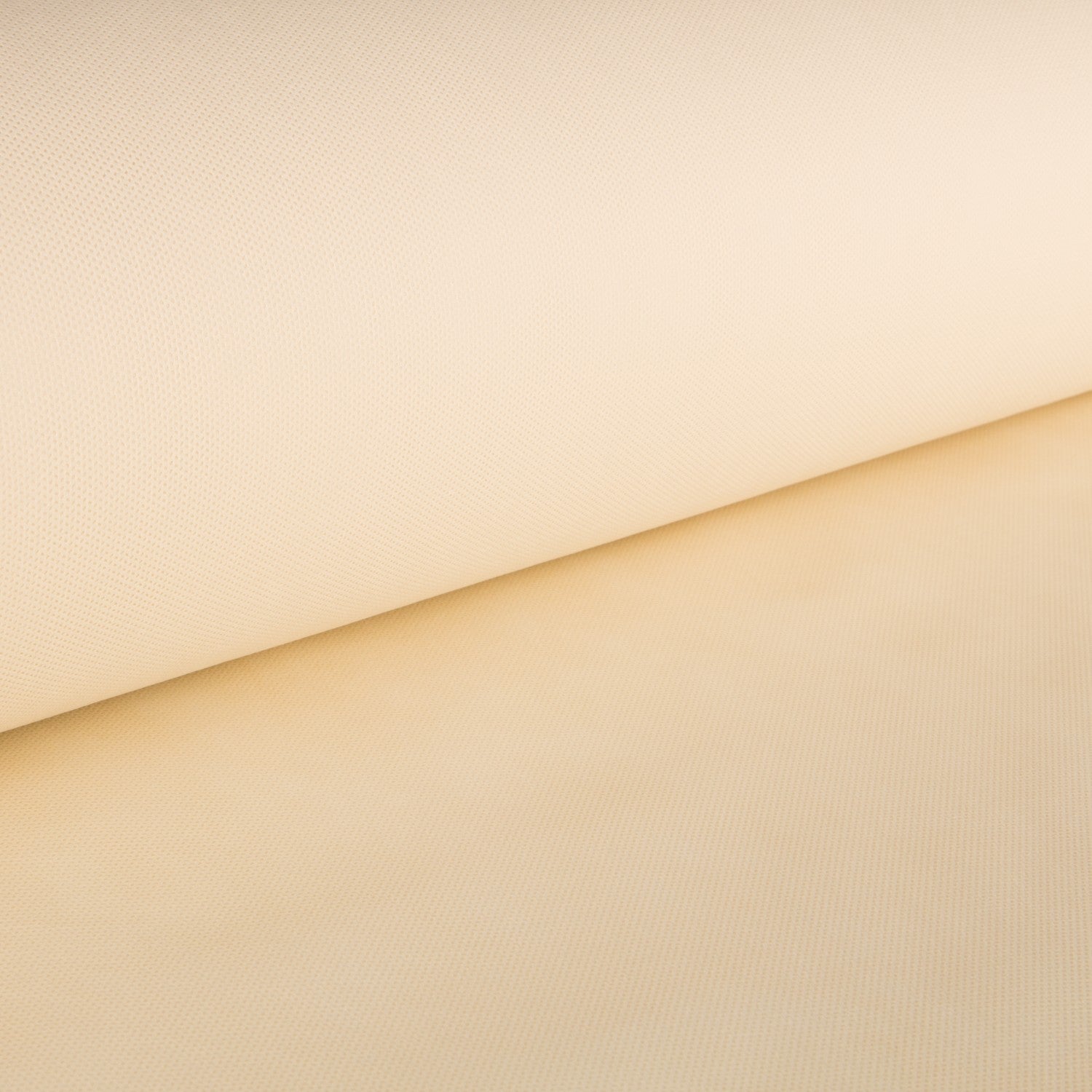 T N T - Ribes y Casals