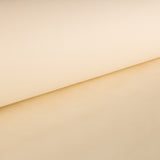 T N T - Ribes y Casals