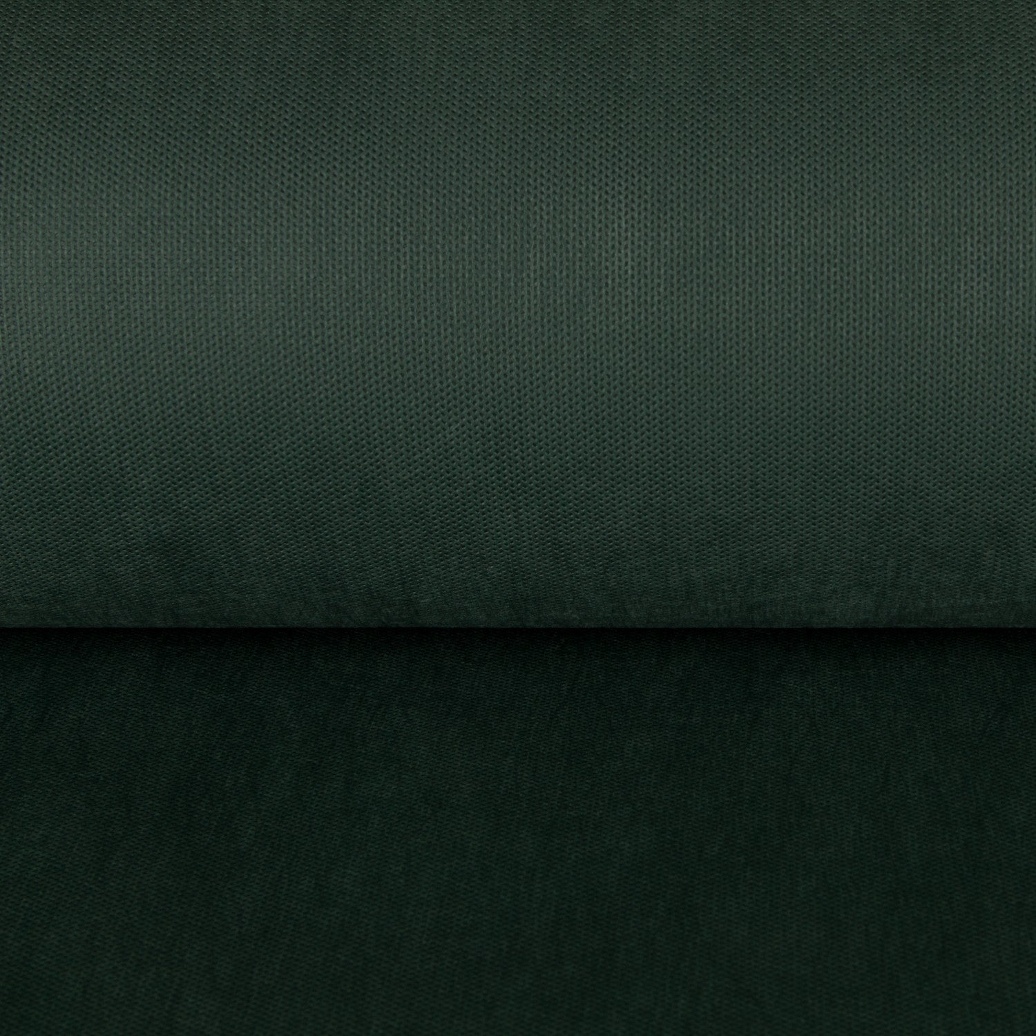 T N T - Ribes y Casals