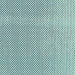 Tul Holograph - Ribes y Casals