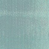 Tul Holograph - Ribes y Casals