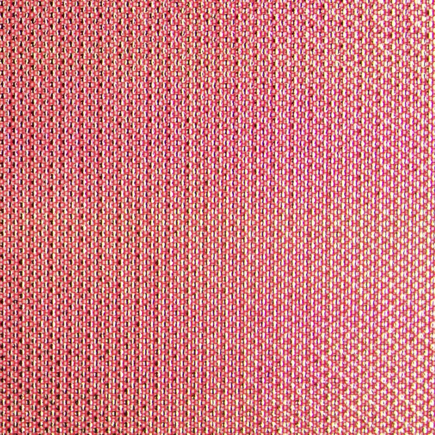 Tul Holograph - Ribes y Casals