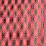 Tul Holograph - Ribes y Casals