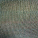 Tul Holograph - Ribes y Casals