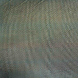 Tul Holograph - Ribes y Casals