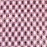 Tul Holograph - Ribes y Casals