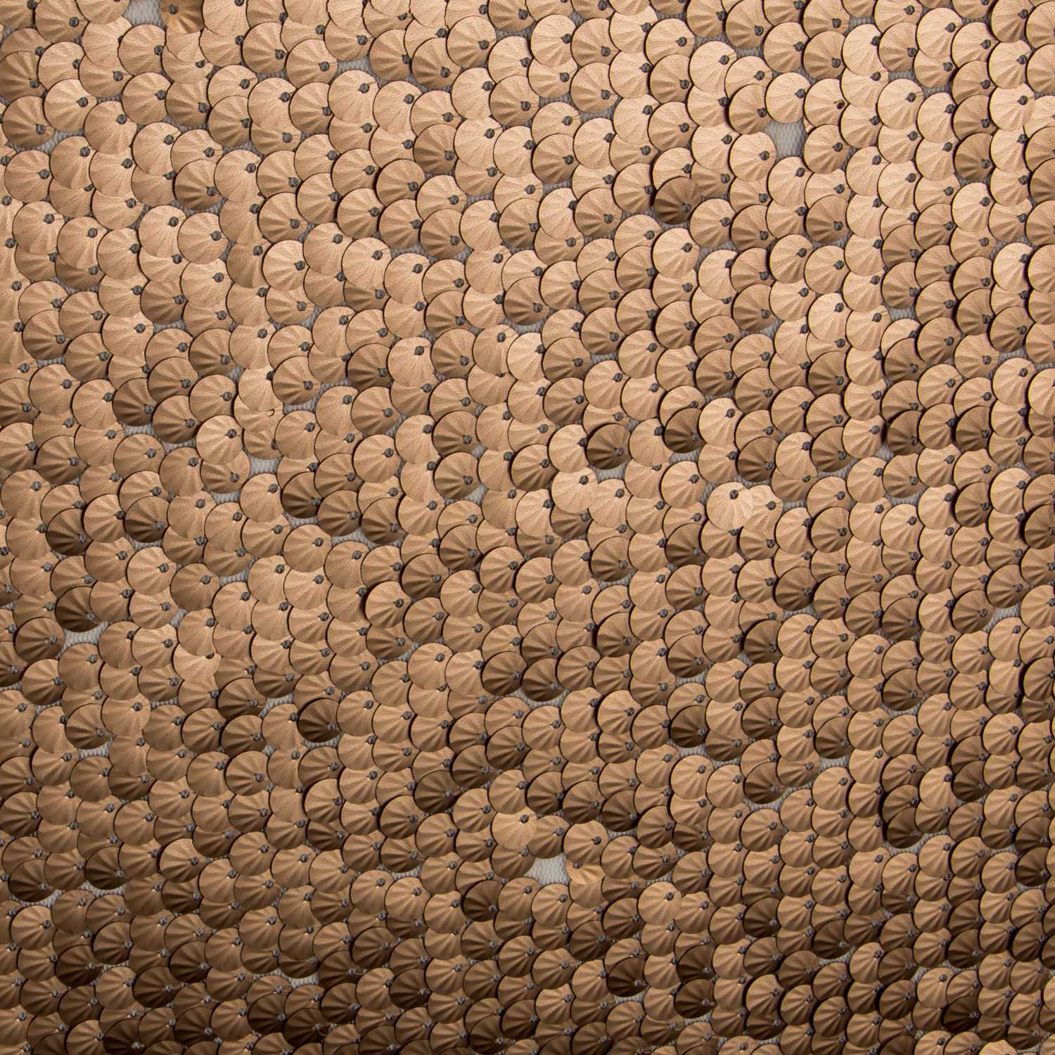 Tul Lantejoula Concha Ouro - Ribes y Casals