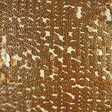 Tule Lantejoulas Medalha Ouro - Ribes y Casals