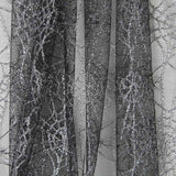 Tule Teia de Aranha Preto - Ribes y Casals