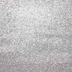 Tule Lycra Lantejoula Prata Claro - Ribes y Casals