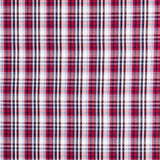 Twill Camisa Xadrez Duas Cores - Ribes y Casals