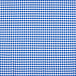 Algodão Xadrez Maxi Azul - Ribes y Casals