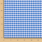 Algodão Xadrez Maxi Azul - Ribes y Casals