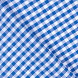 Algodão Xadrez Maxi Azul - Ribes y Casals