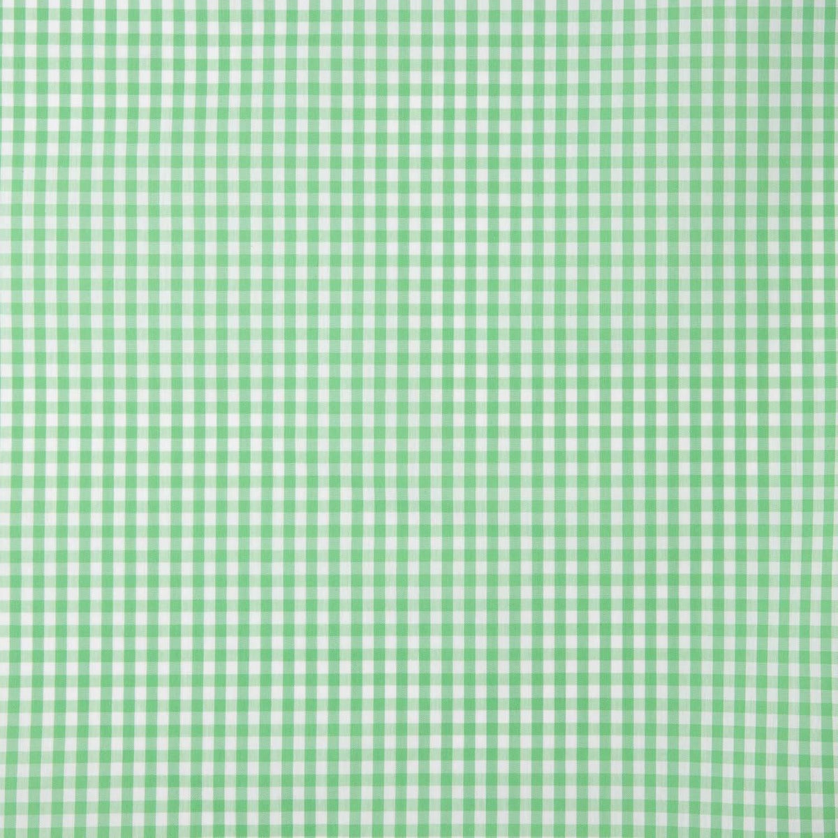 Xadrez Vichy Verde Maçã Médio - Ribes y Casals