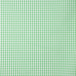 Xadrez Vichy Verde Maçã Médio - Ribes y Casals