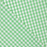 Xadrez Vichy Verde Maçã Médio - Ribes y Casals