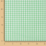 Xadrez Vichy Verde Maçã Médio - Ribes y Casals