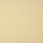 Algodão Vichy Mini Listra Albero - Ribes y Casals