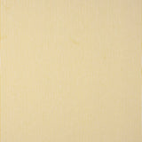 Algodão Vichy Mini Listra Albero - Ribes y Casals