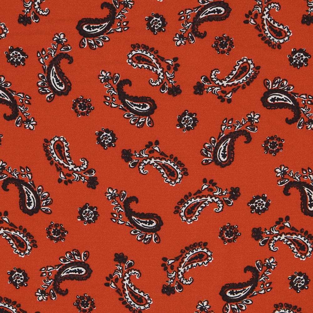 Viscose Cashmere Laranja - Ribes y Casals