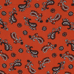 Viscose Cashmere Laranja - Ribes y Casals