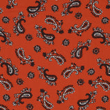 Viscose Cashmere Laranja - Ribes y Casals