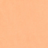 Viscose Lisa Carne - Ribes y Casals