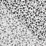 Viscosa Bosque Blanco - Ribes y Casals